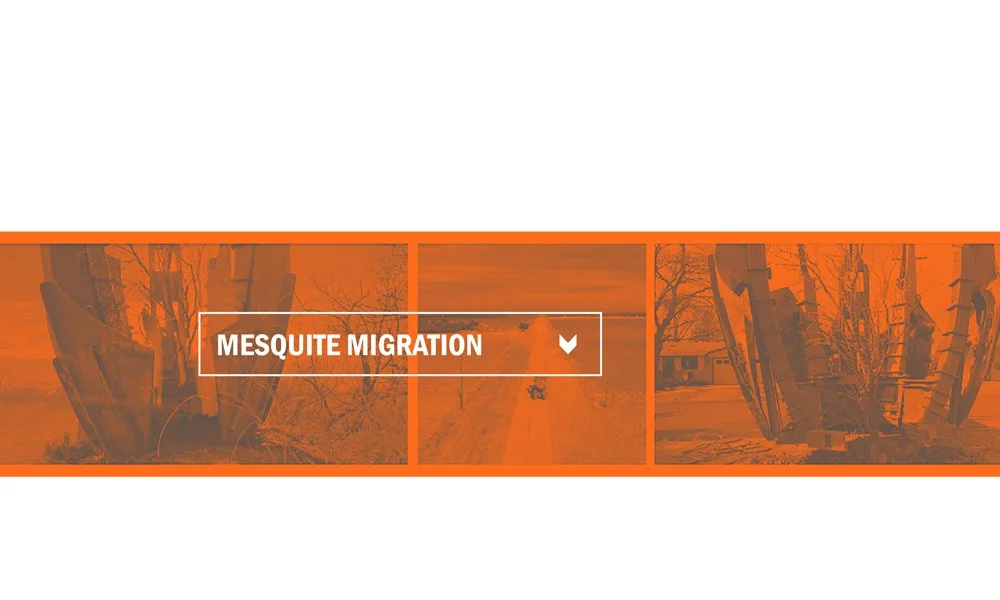 PARALAX_IMAGES_MIGRATION.jpg