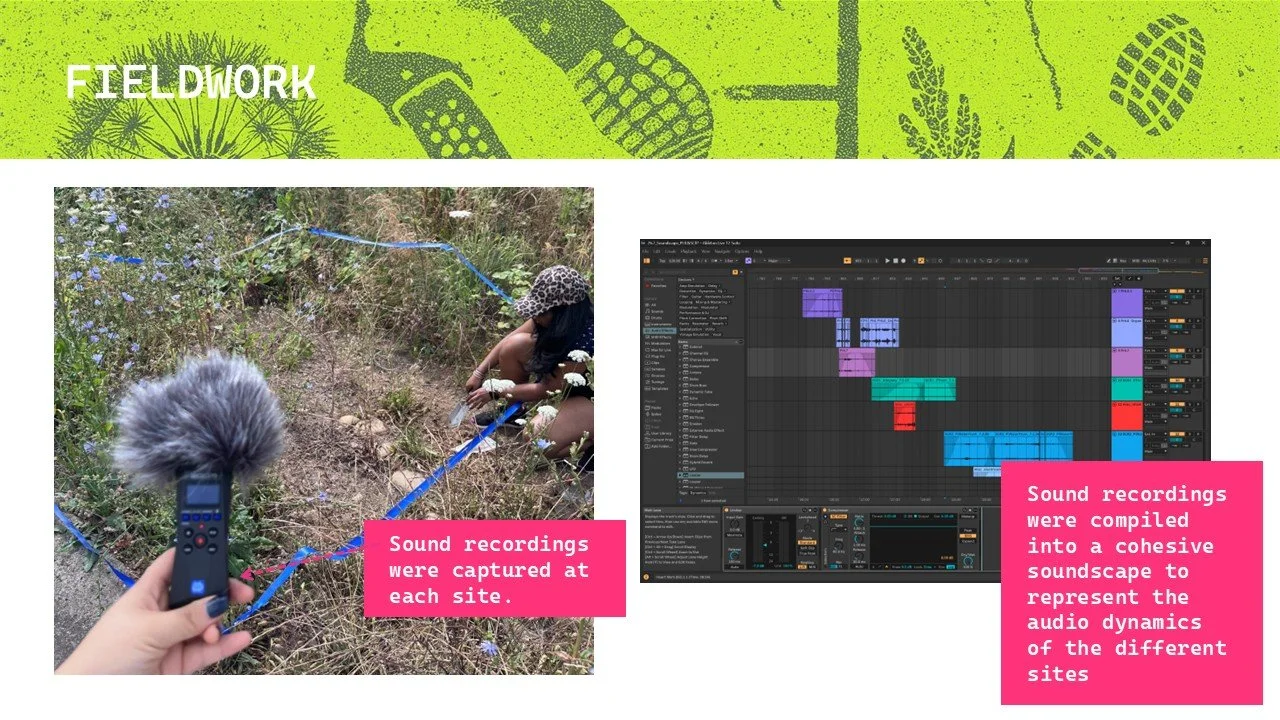 Slide16.JPG