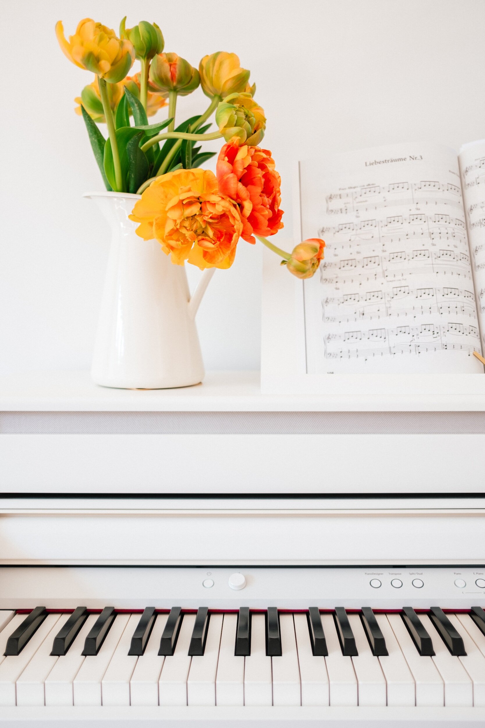 Harmony at Home: A Guide for Parents to Support Their Child's Music Practice