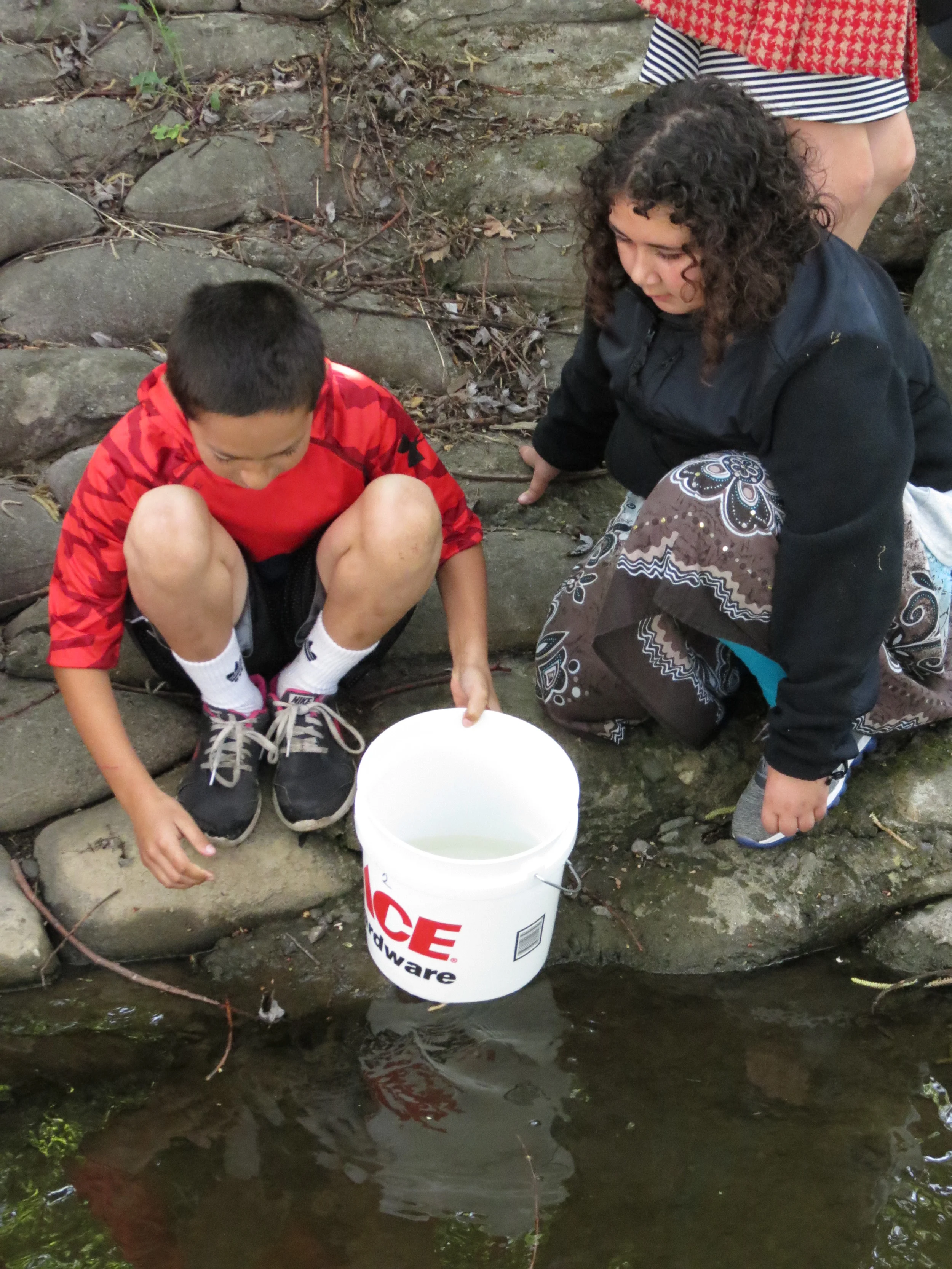 Water Quality in the Petaluma Watershed