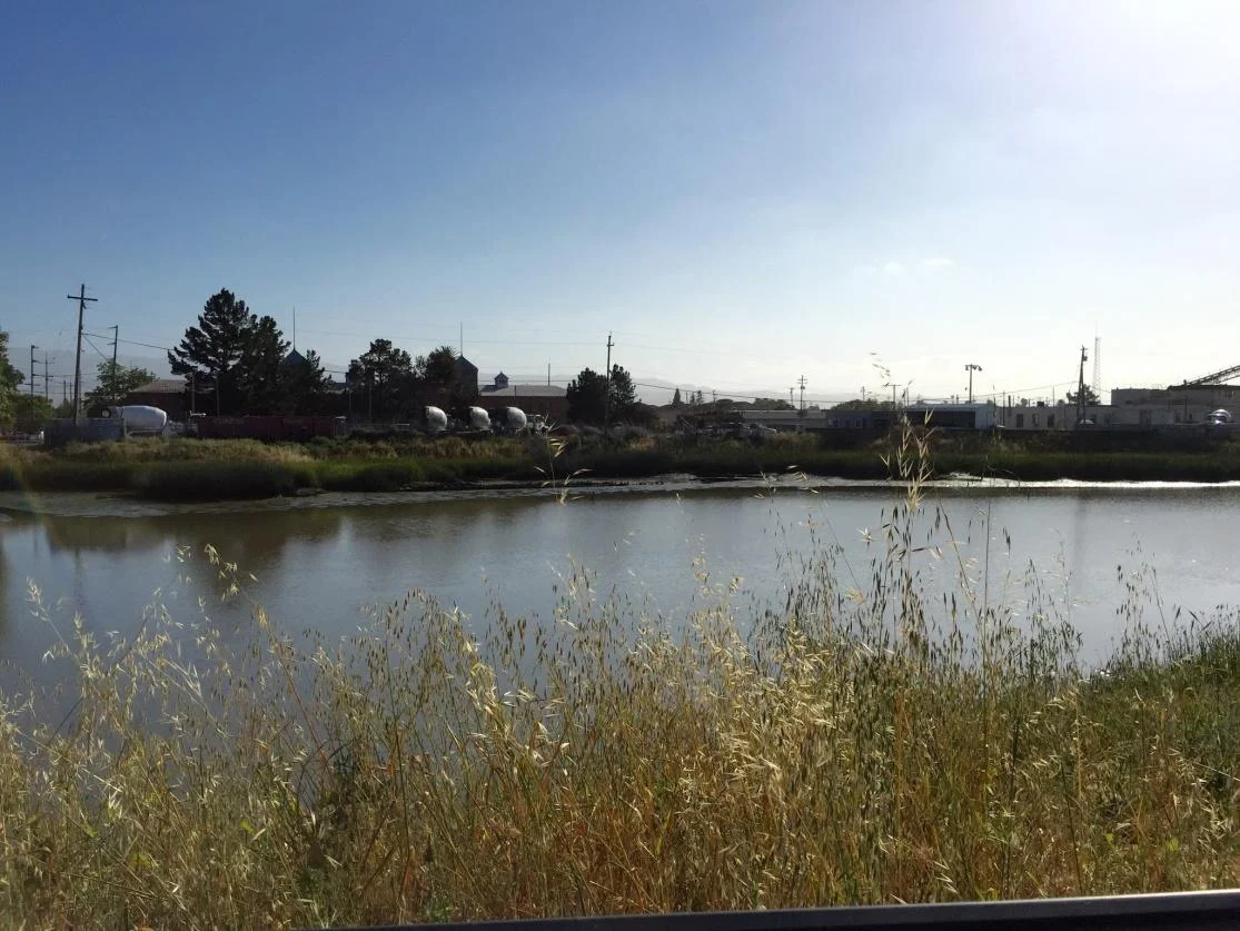 Steamer Gold Landing 