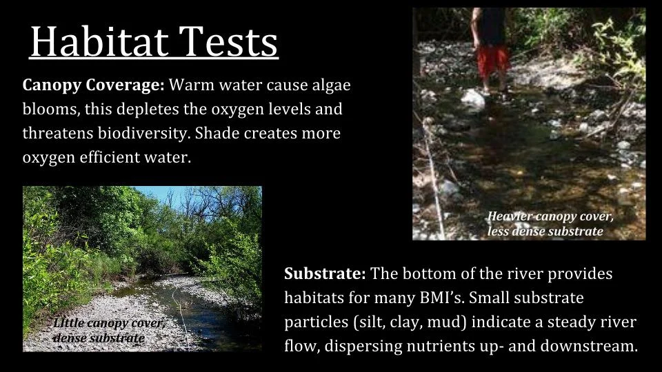 Watershed Assessment — Watershed Classroom