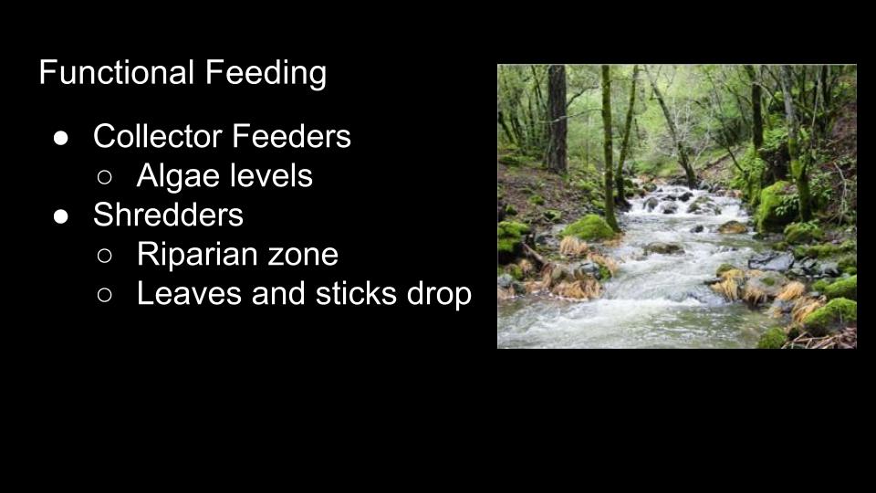 Watershed Assessment — Watershed Classroom