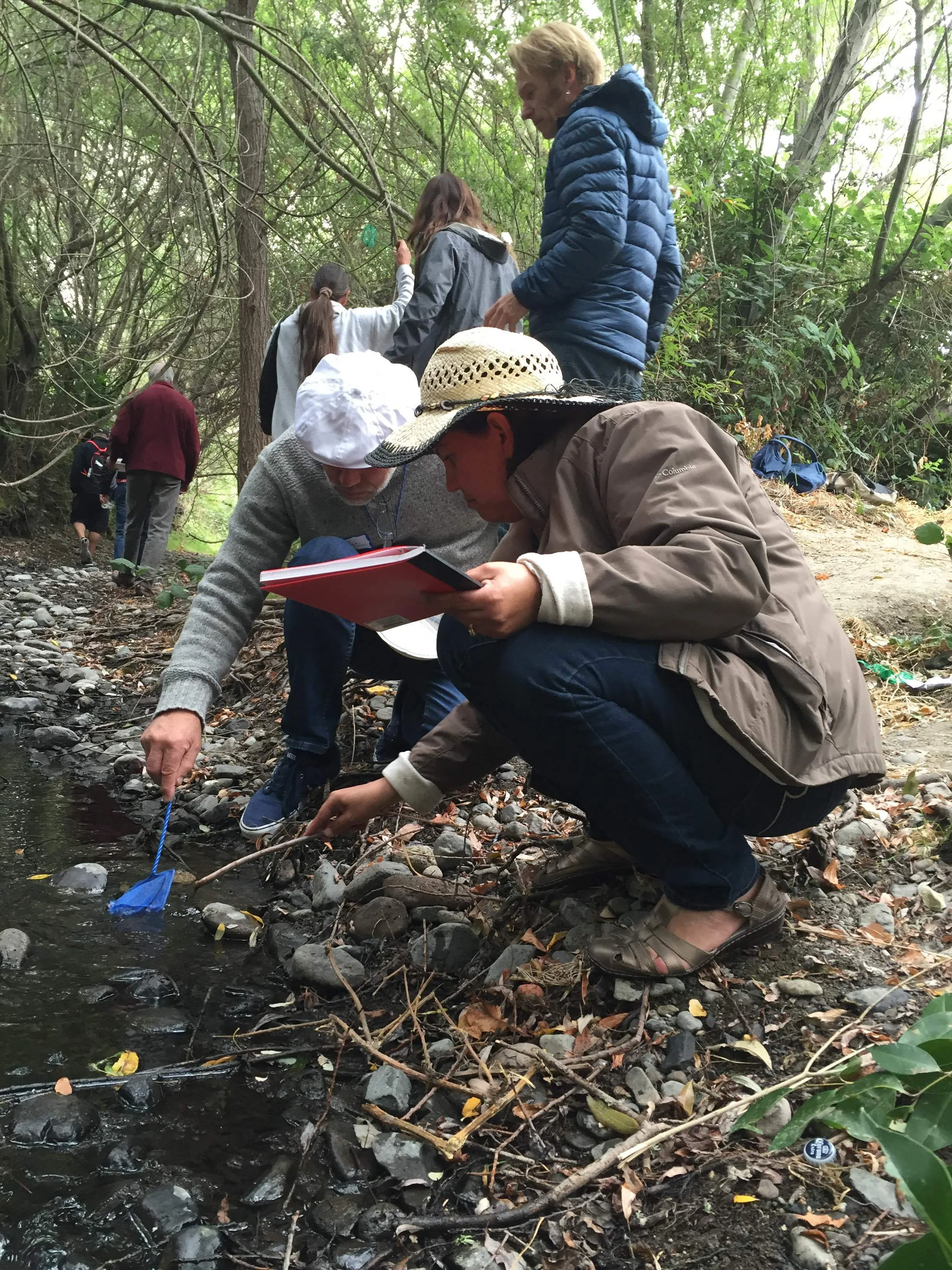 Down at Adobe Creek, teachers are reminded of the joys of critter catching.