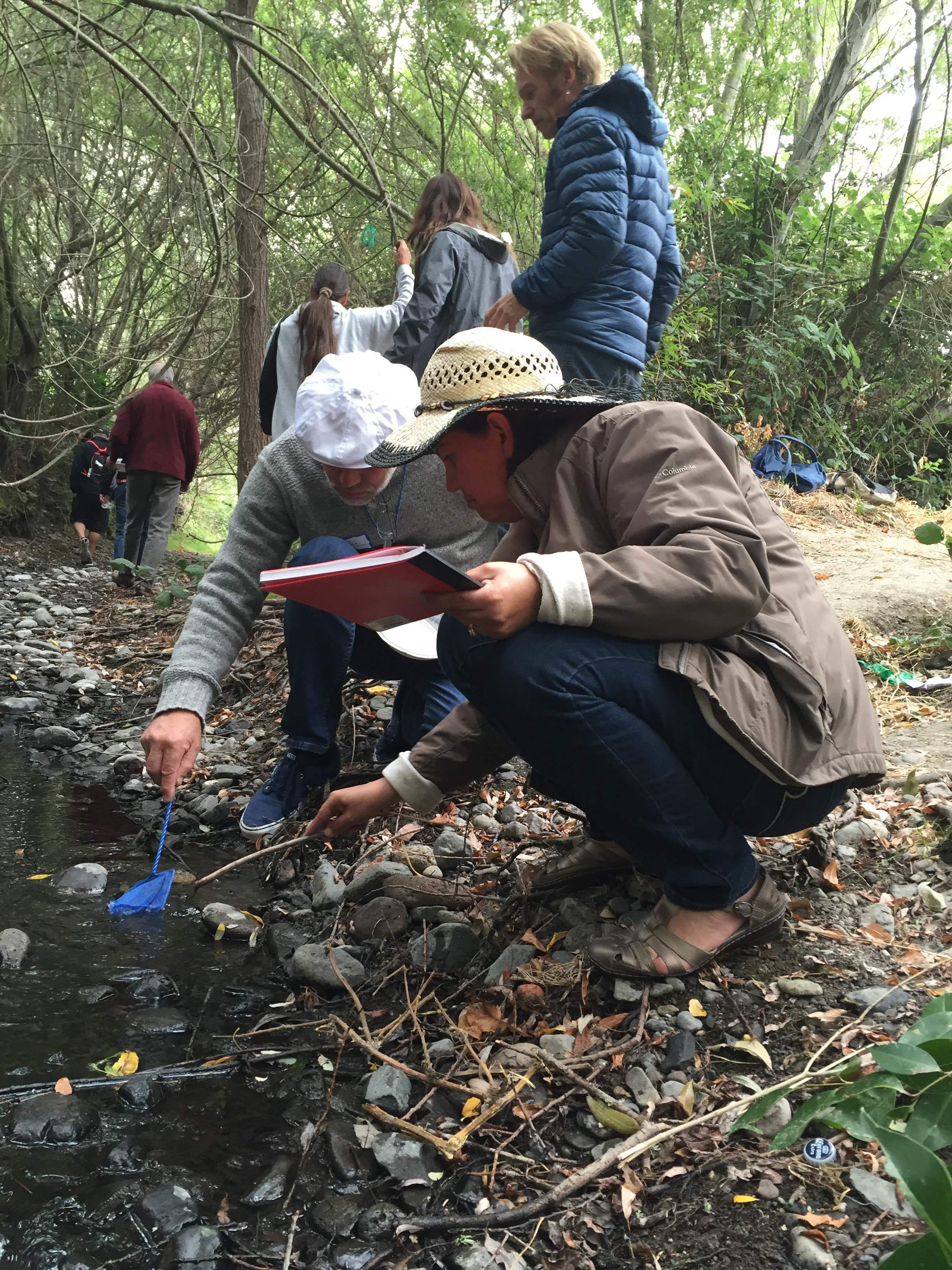 Down at Adobe Creek, teachers are reminded of the joys of critter catching.
