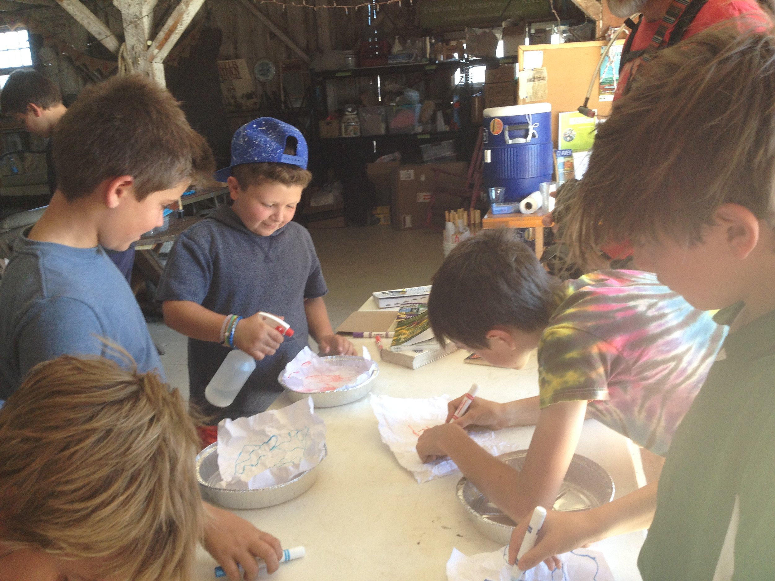 Students build their own watersheds and learn how pollution travels via storm water. 