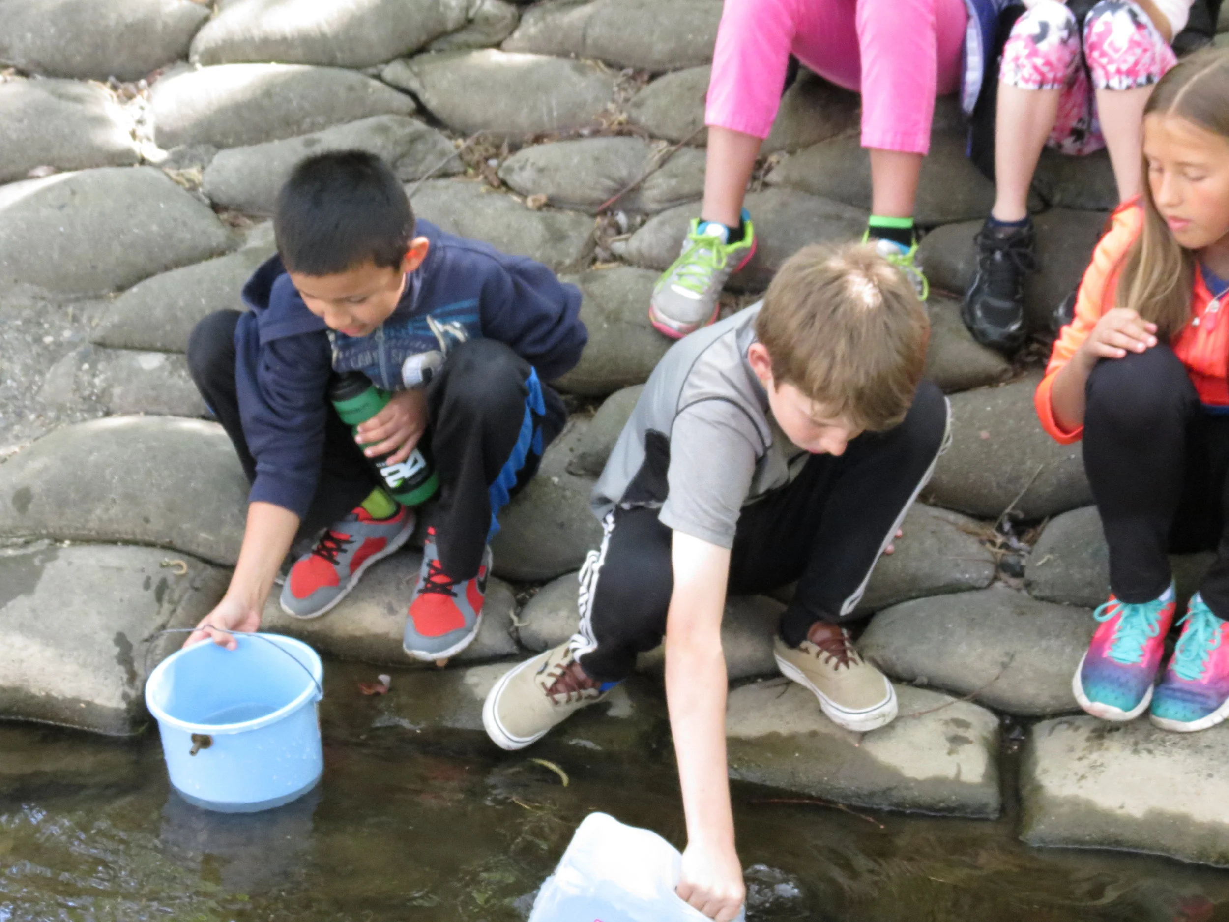 Water Testing Workshop: Grades K-5