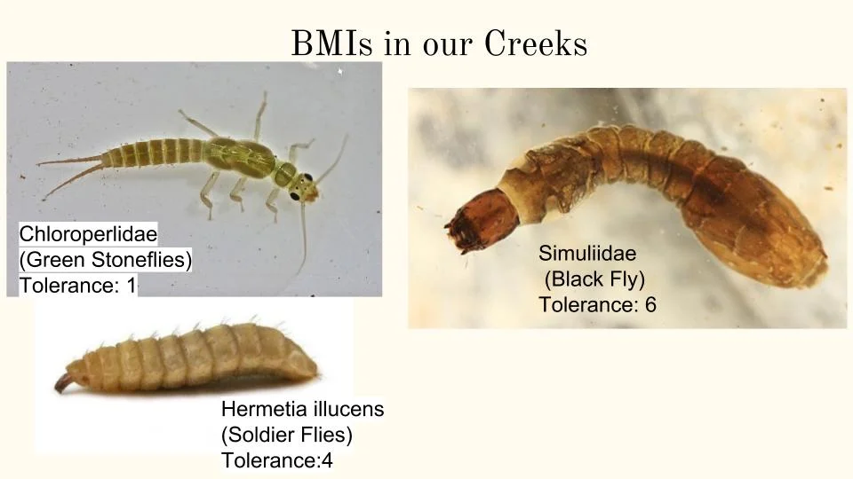 Watershed Assessment — Watershed Classroom