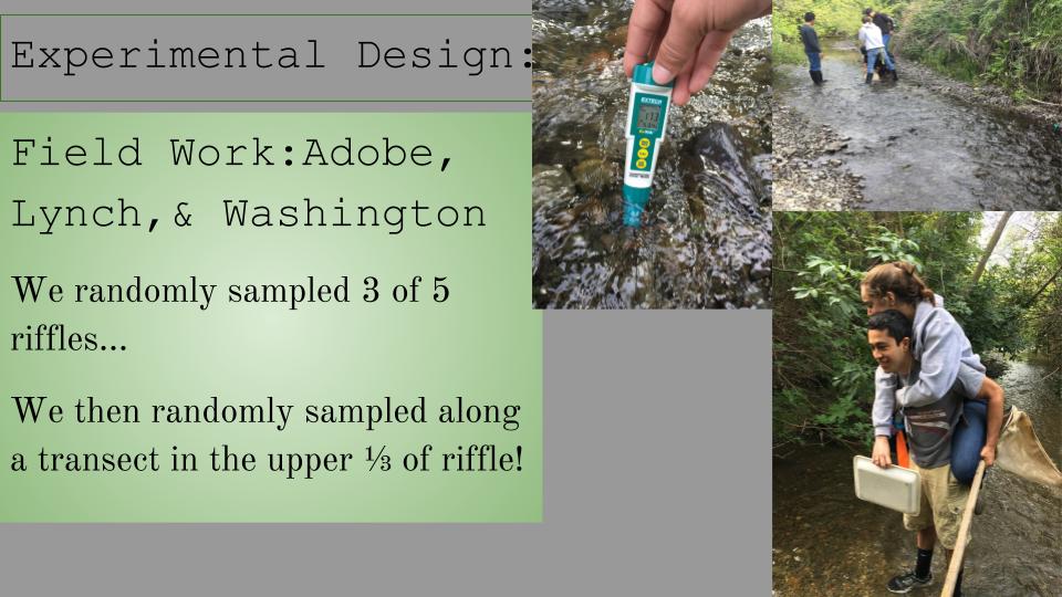 Watershed Assessment — Watershed Classroom