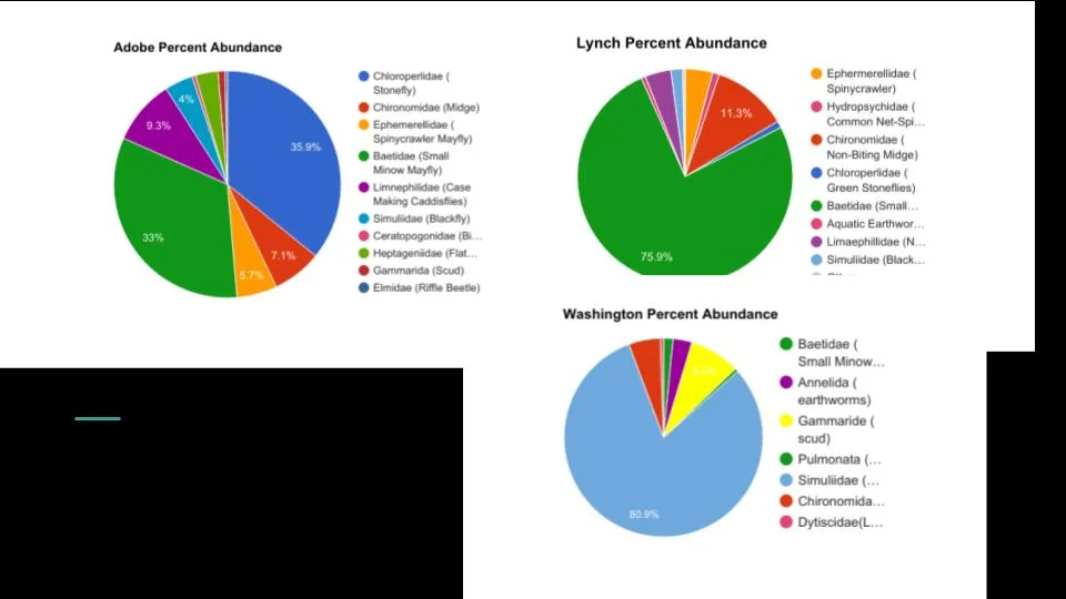 Watershed Assessment — Watershed Classroom