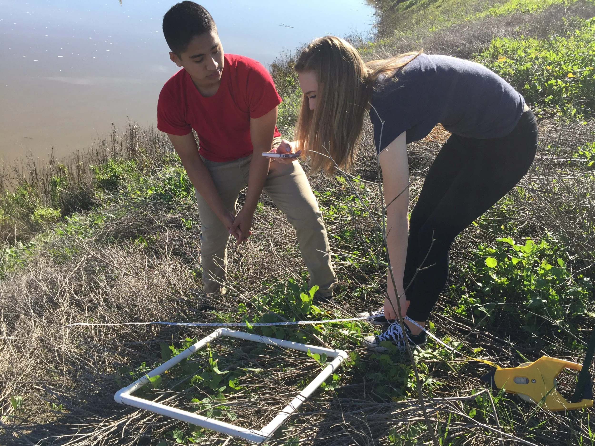 Petaluma High Students from Linda Judah's Interactions in Our Watershed project survey the banks of the McNear peninsula in Steamer Landing Park. 