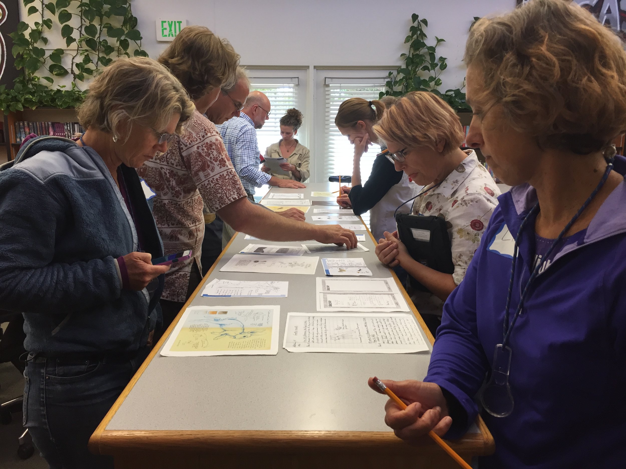  Educators look at various examples of field journals as part of the 2016 BEETLES training. 