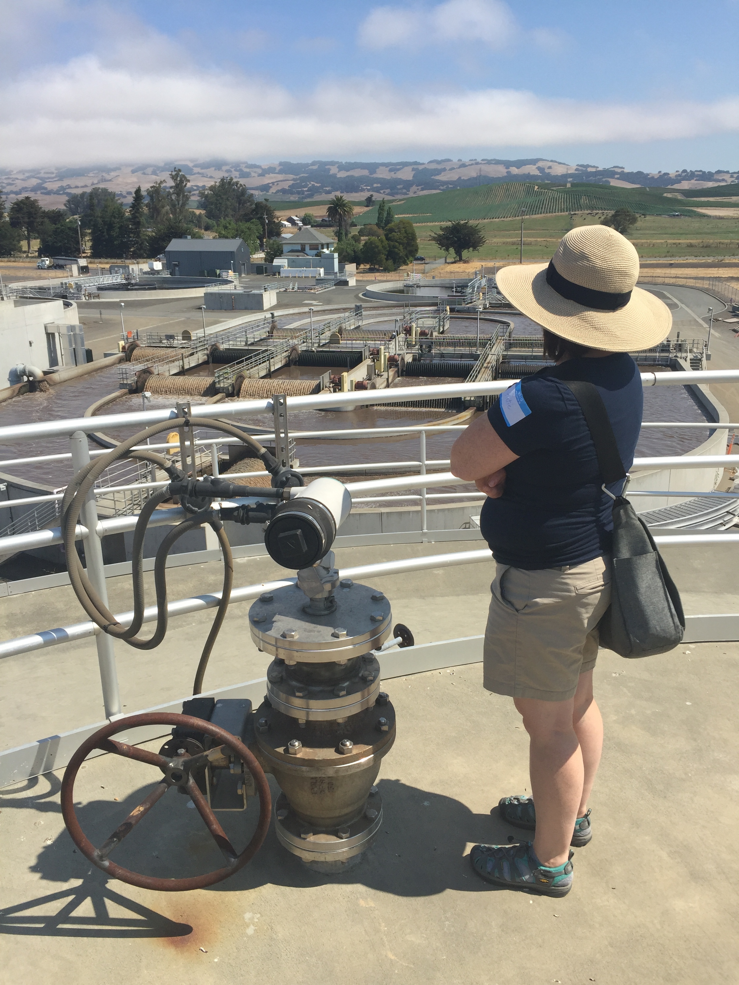 A local teacher looks out over the Ellis Creek facility. 