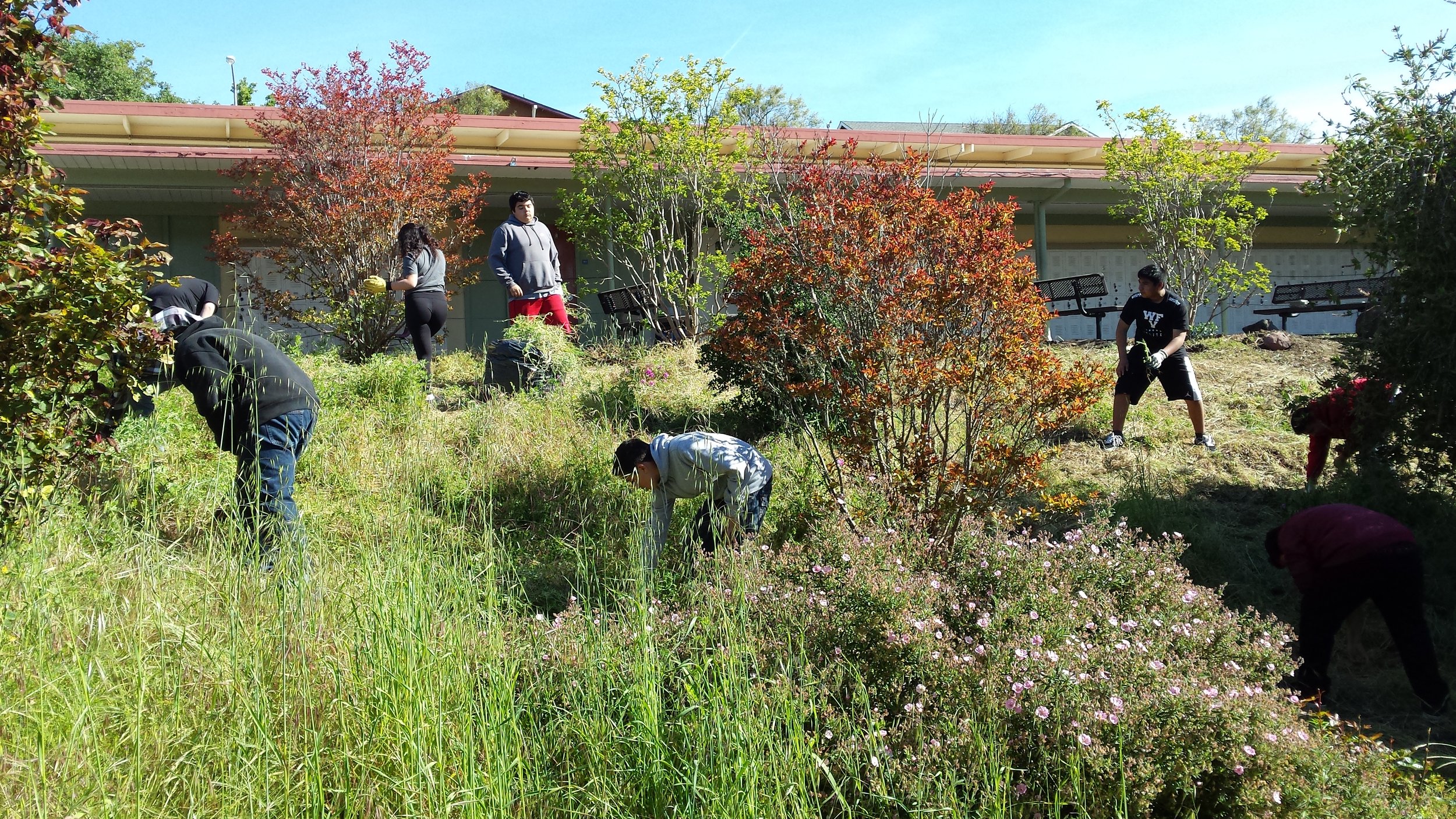  Students hard at work in the Crossroads Garden 