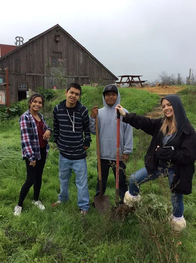 Watch This: Steamer Landing Restoration Video!