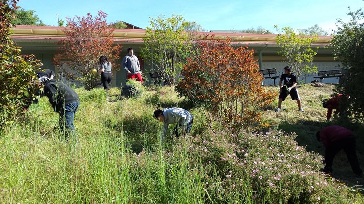  Working in the garden. 