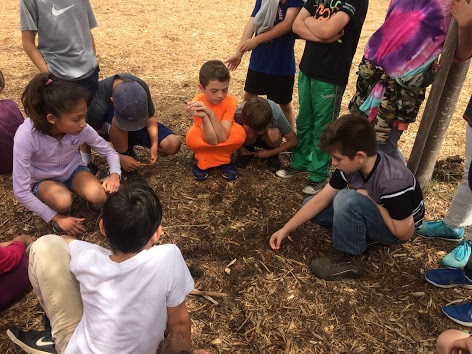  Students working with STRAW on campus.&nbsp; 