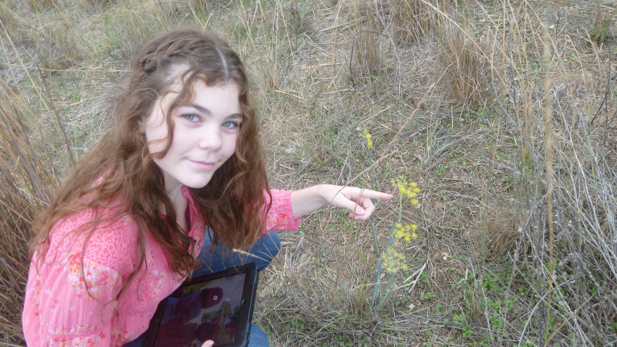  Students on a seed collection trip in Helen Putnam Park (Fall 2016). 