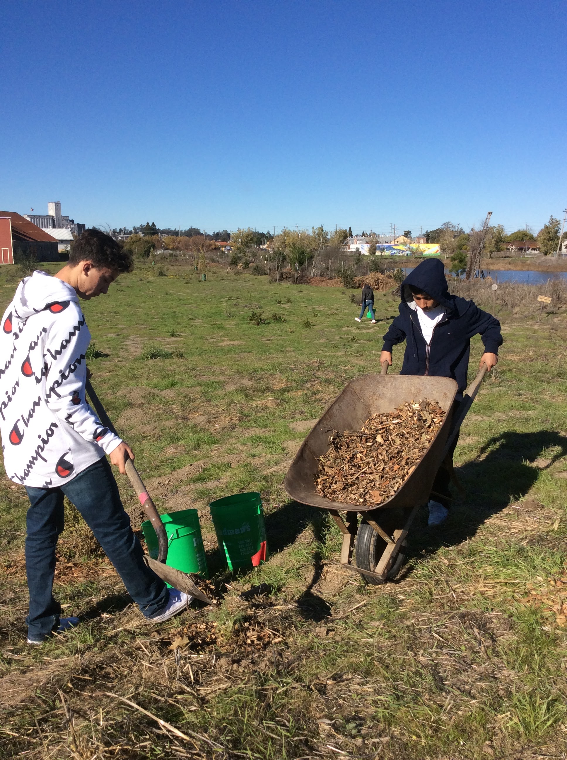  Students engaging in restoration at Steamer Landing Park (Fall 2017). 