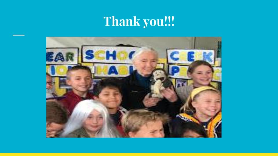  This concludes the McNear School Fourth Grade Creek and Bird Habitat Project presentation. Along with the Watershed Classroom, STRAW, NOAA, and Dr. Goodall, we appreciate the support, resources, and encouragement you have all given to help us be goo