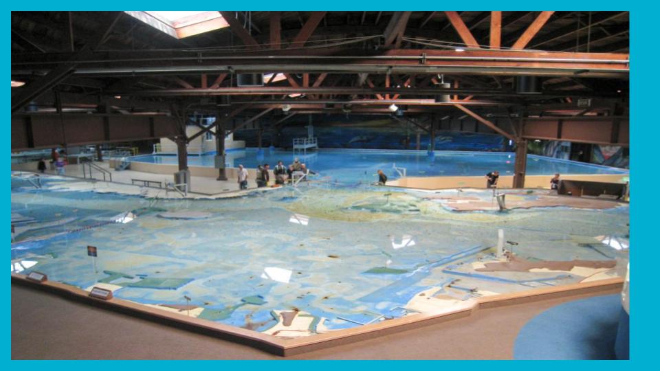  We took a field trip to the Bay Model in Sausalito to help us see a bigger picture of Bay Area Watersheds. 