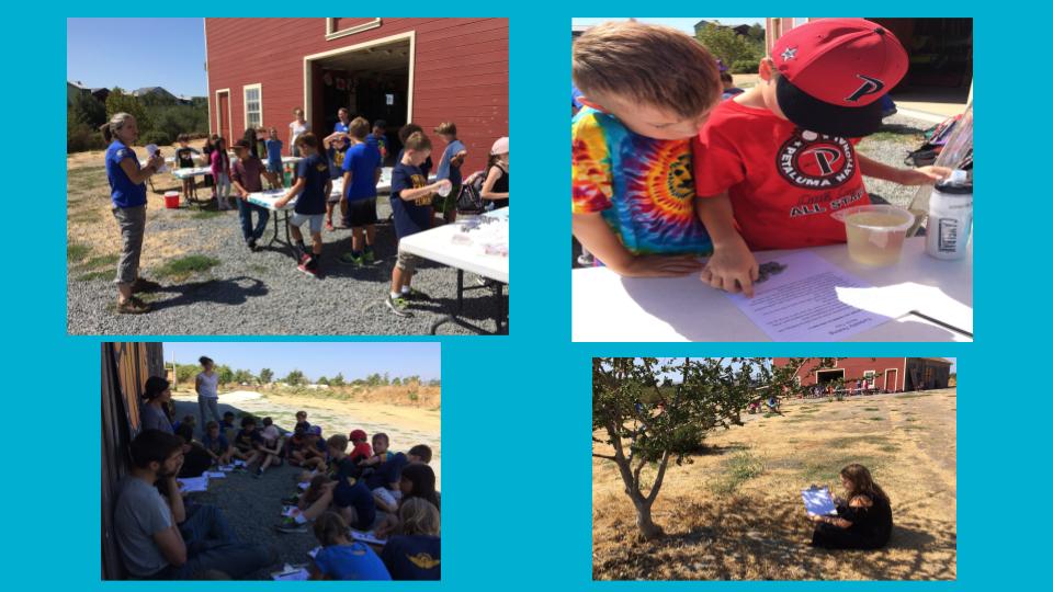  Early in the school year, we went to the David Yearsley Heritage Center, where instructors from the Watershed Classroom helped us learn about the Petaluma Watershed and how to do water quality tests. 