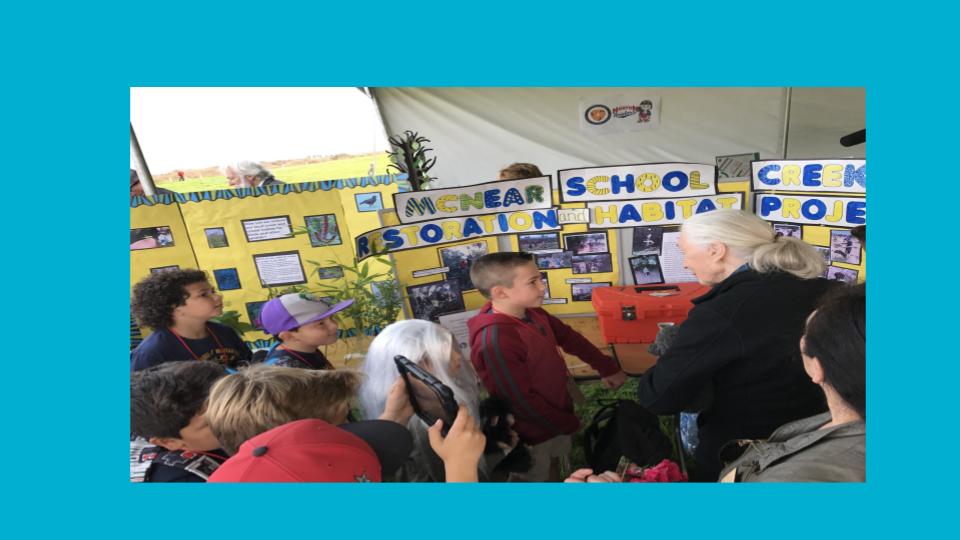 We told Dr. Goodall about our plans to study our local creek so that we could develop a plan for how to support support its health as well as the plant and animal life that live in it. Now it’s May, 2018, and we want to report about the learning and the work we were able to do.