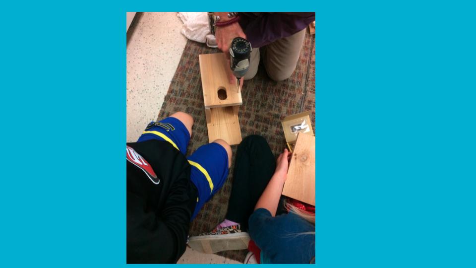 Part of our creek restoration work included the beginnings for a bird habitat in an area outside the back of our classroom. We installed a bird bath and four bird boxes. After the crab grass has been removed over the coming summer, next year’