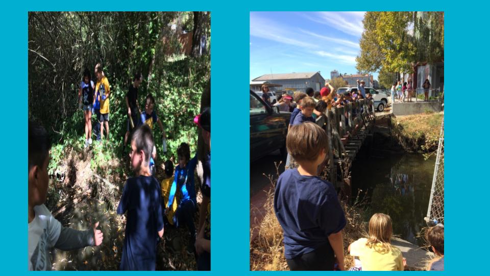 Later, we explored different sections of Thompson Creek and traced its route to where it meets the Petaluma River. Mr. Norstad’s class even took a long walk to find its source! 