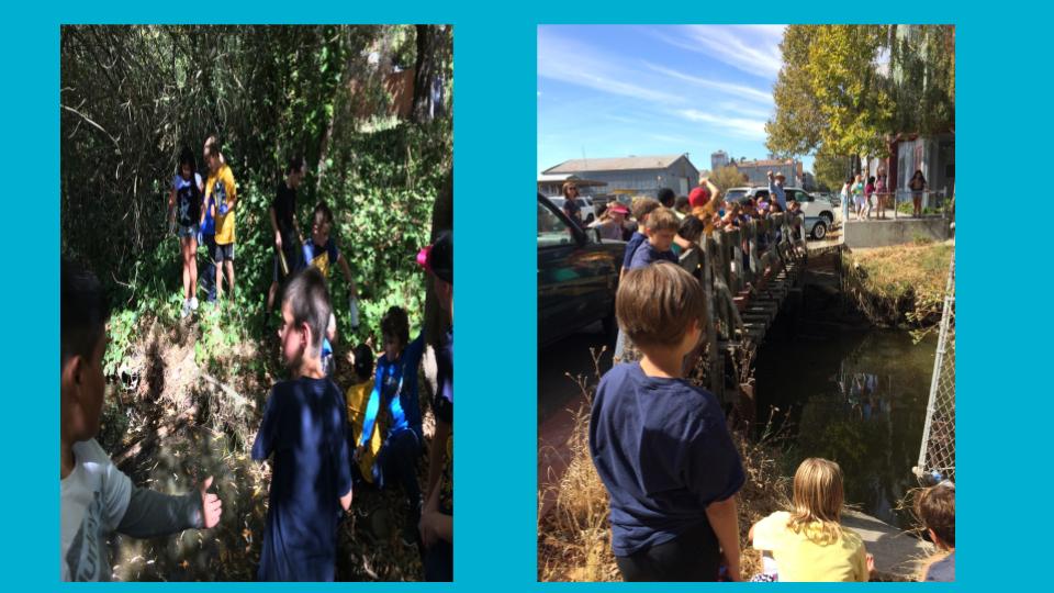 Later, we explored different sections of Thompson Creek and traced its route to where it meets the Petaluma River. Mr. Norstad’s class even took a long walk to find its source!