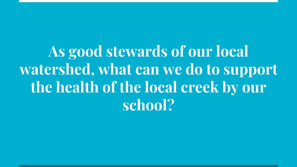 This was the driving question for our project.