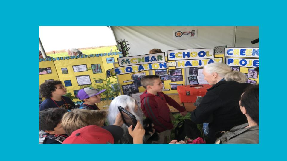 We told Dr. Goodall about our plans to study our local creek so that we could develop a plan for how to support support its health as well as the plant and animal life that live in it. Now it’s May, 2018, and we want to report about the learning and