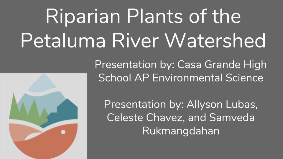  Plant- family that the plant is in, common and scientific names, habitat it prefers (most might be riparian) Ecosystem benefits  Oak trees are important for acorns and are food for squirrels and provides shelter for animals  Human uses - medicinal p