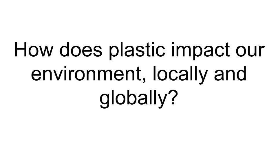 Trash in the Watershed (1).jpg