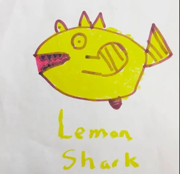 lemon-shark.jpg