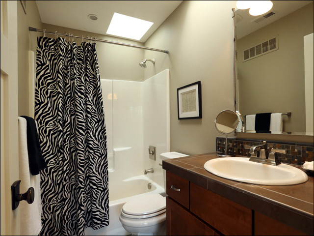Hall bath - upper level