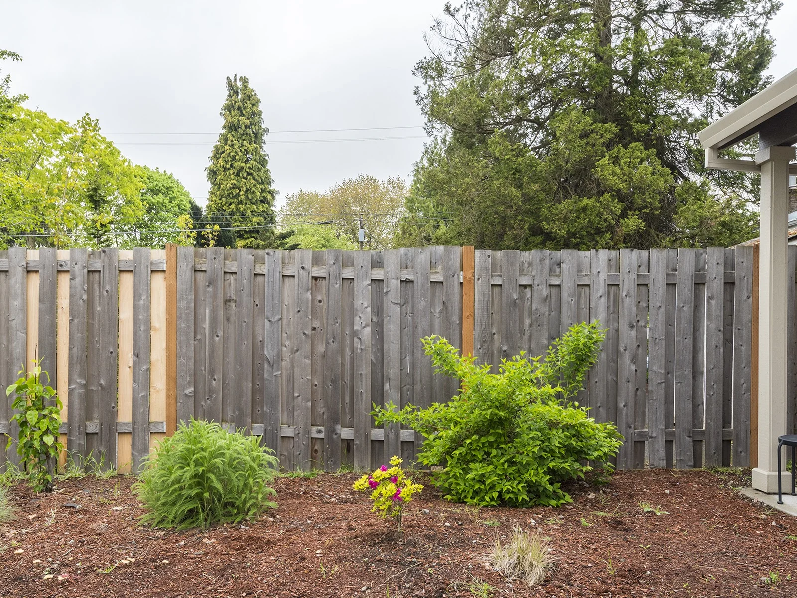 Room for a garden and plants