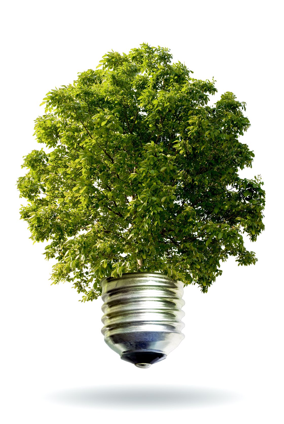 (c) altomedia / 123RF Stock Photo