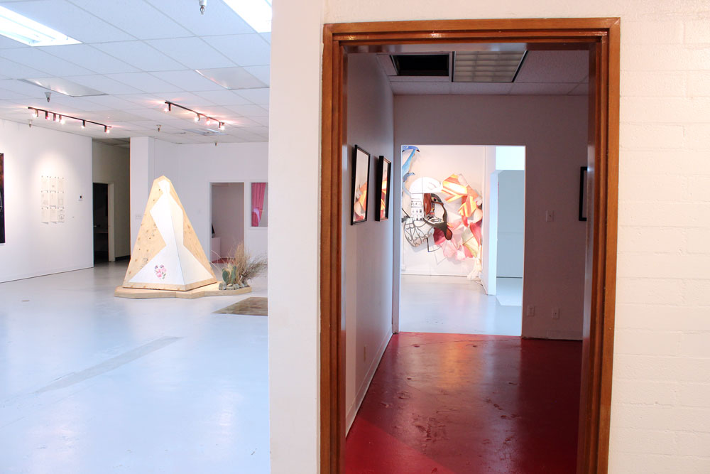 Main Gallery - Interior Gallery opening