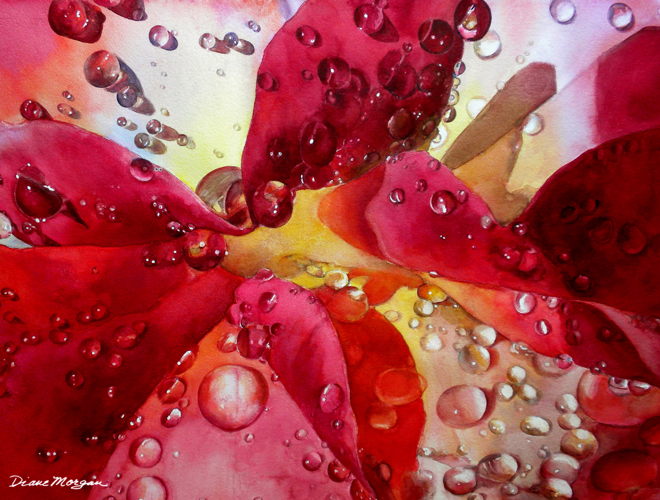 Diane Morgan Raindrops on Roses watercolor.jpg