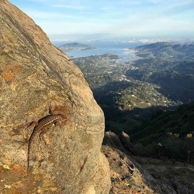 On one hand, getting out to nature makes everyday concerns feel distant and inconsequential; otoh, we're in for trouble if we just bliss out on a warm rock in the sun, hiding from view until the problems reach us.