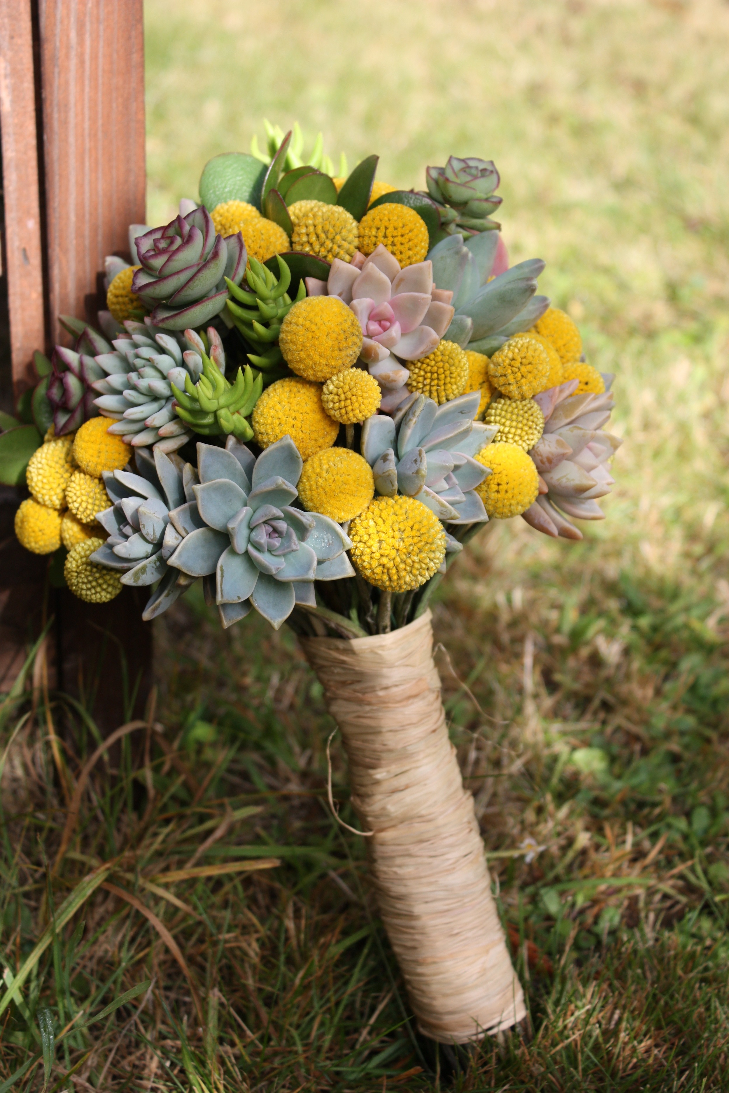 Jen's Bouquet was a eclectic mix of organic succulents and organic craspedia, and finished with raffia. This bouquet may have been the heaviest bouquet I have ever made! All the succulents ad a lot of weight. After the wedding Jen was able to root and plant her succulents to keep a part her bridal bouquet!