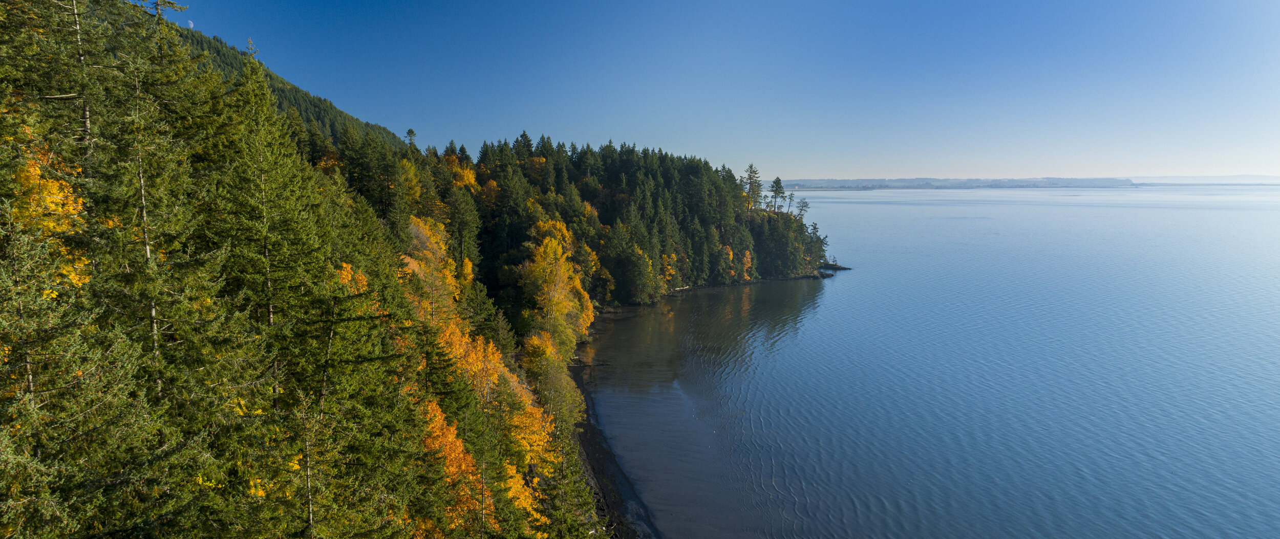 chuckanut-drive-photo (1).jpeg