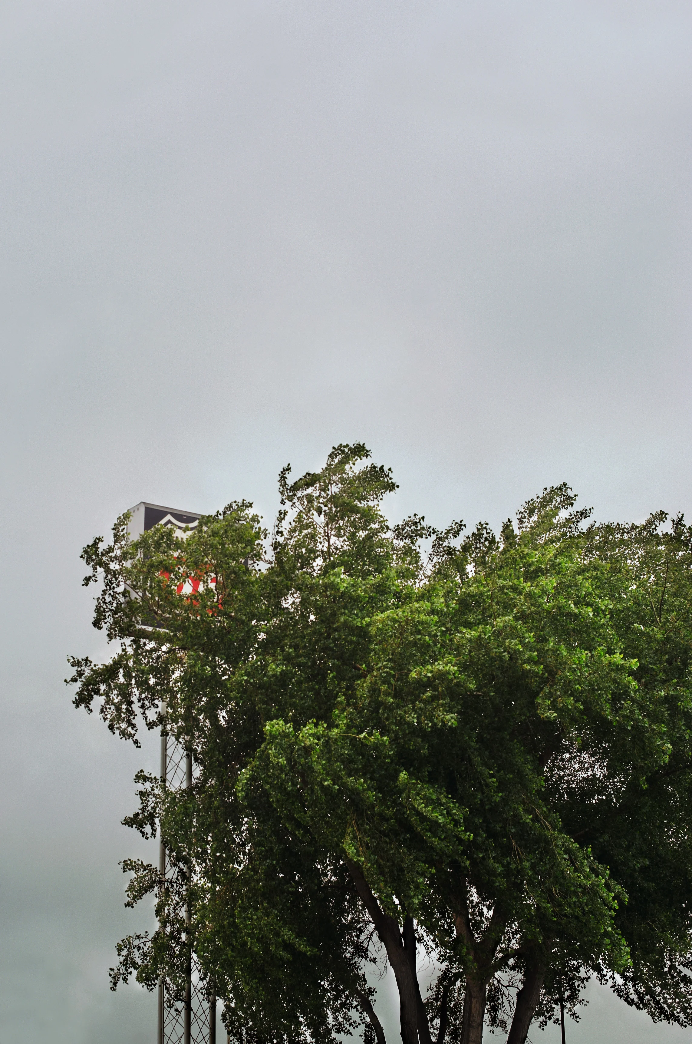 JQ0005r.jpg
