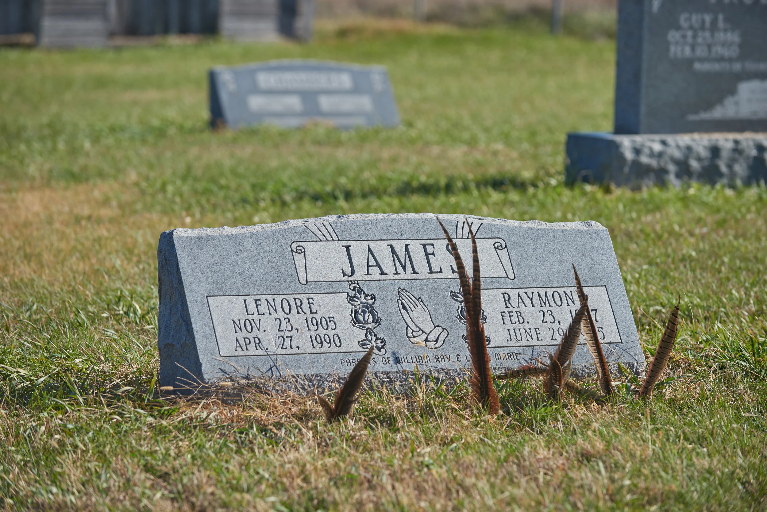 JF002.jpg