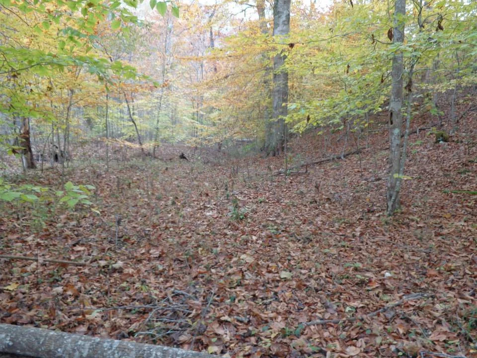 Old wagon road