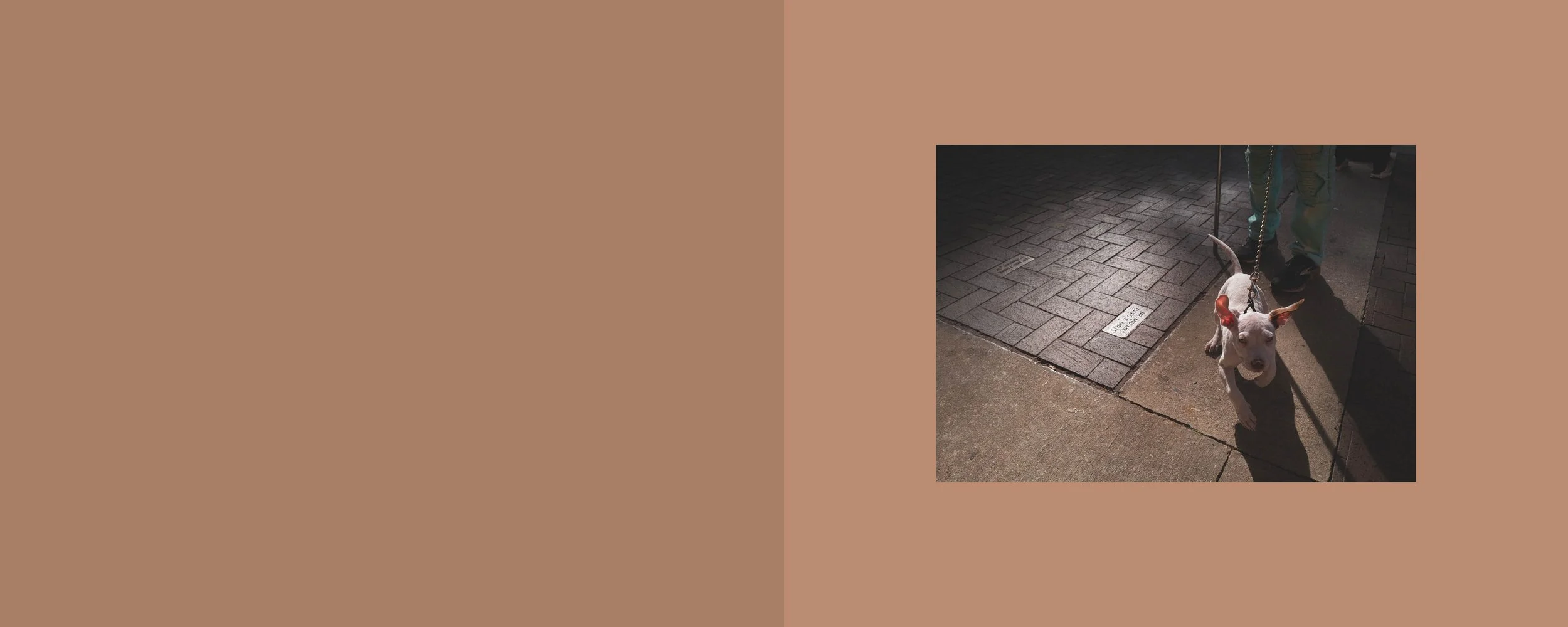 V3 Broad Daylight38.jpg
