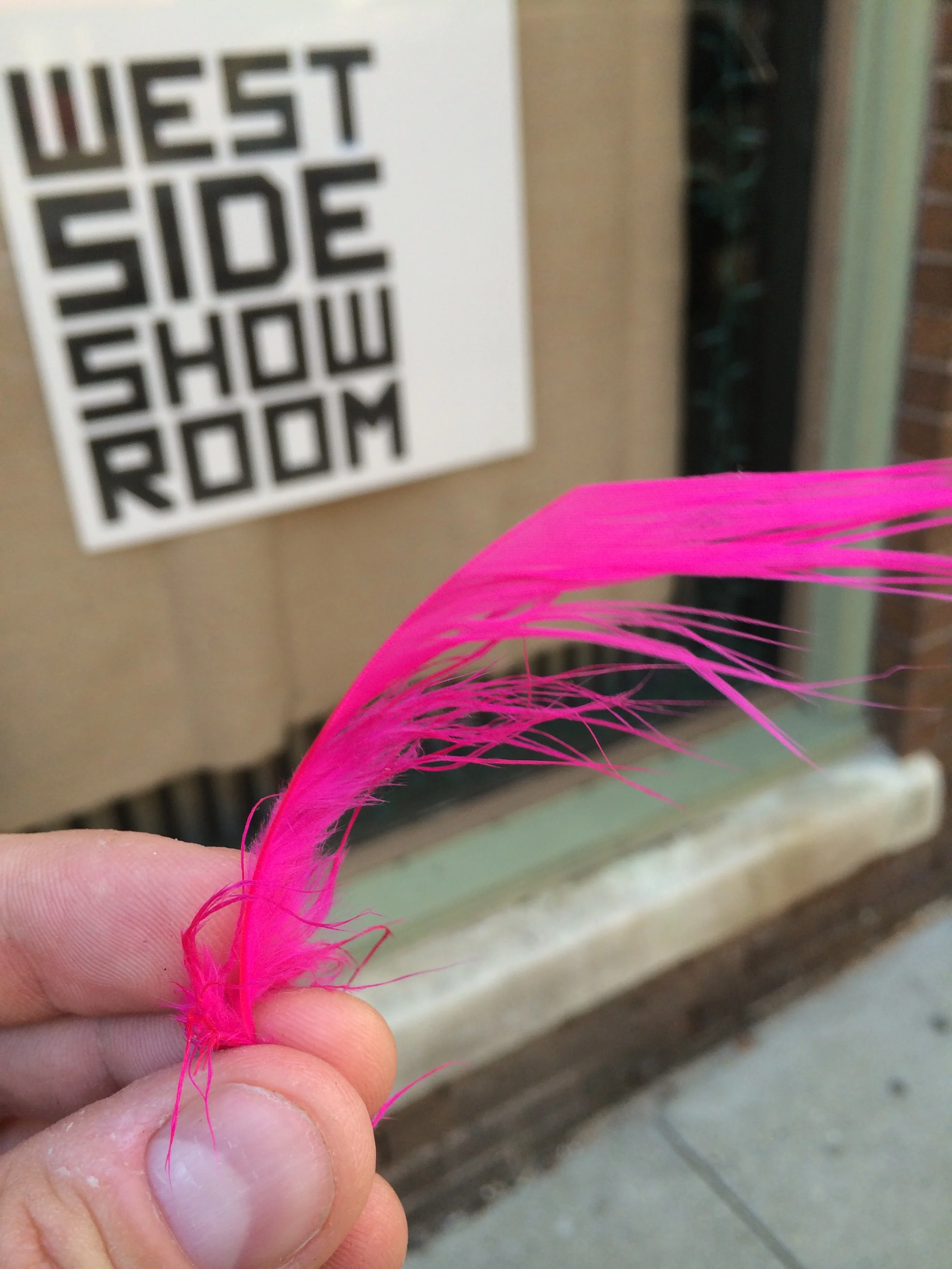 File Nov 13, 8 02 28 PM.jpeg