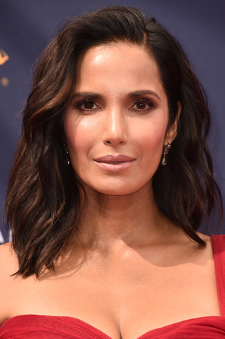 Resized_Padma+Lakshmi+2018+Creative+Arts+Emmy+Awards+OdstZC_bS0Tl.jpg