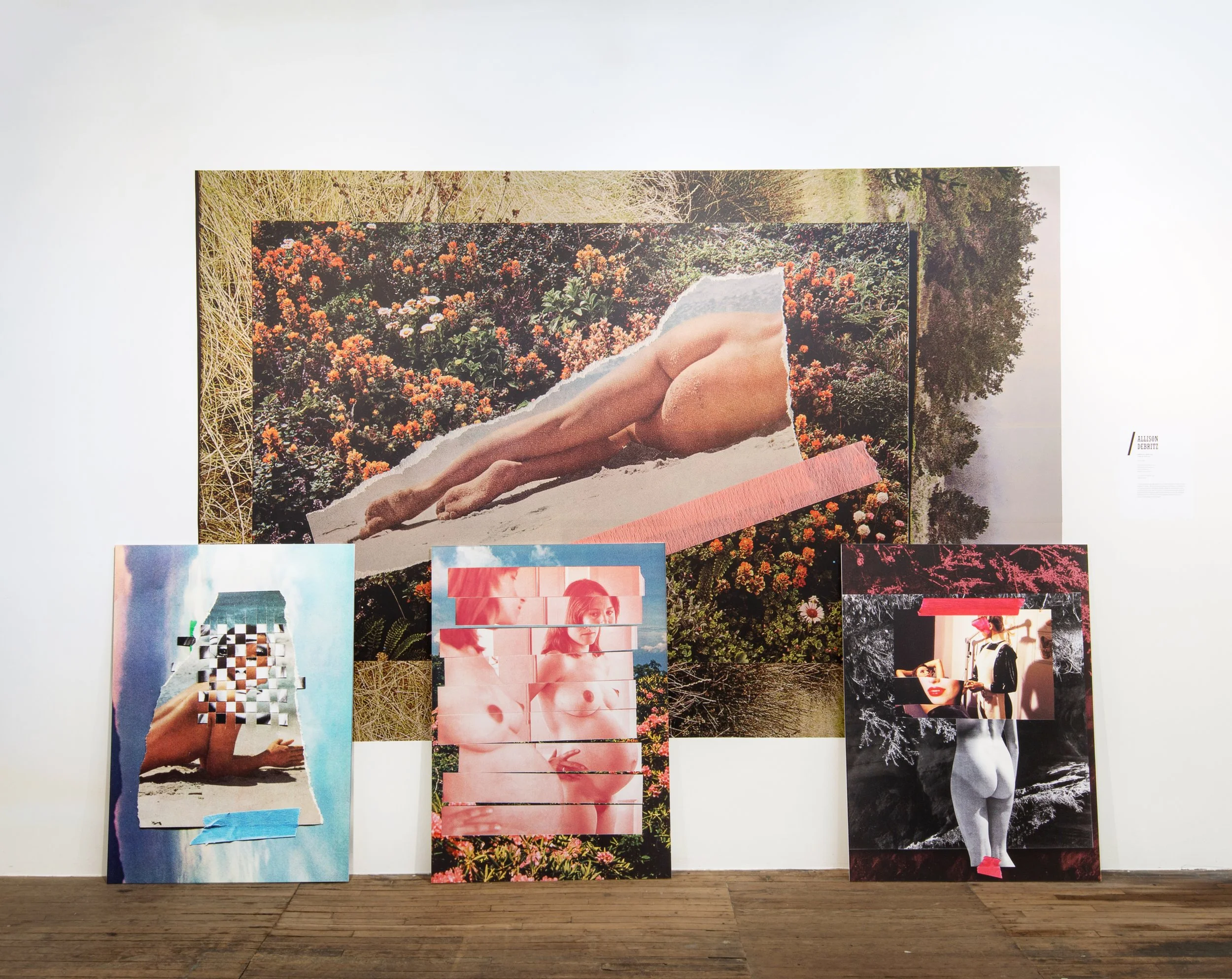  installation at CPW Upstate Photography Biennial, 2026, Panel images, adhesive vinyl on acrylic, 30'“ x 40”, Wall image, adhesive vinyl, 6’ x 10’ 